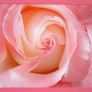 Rosa Rose Foto Grußkarte & Umschlag, Valentinstag, Blumenkarten-Set, Blush rosa Rose Karte, rosa Blume stationär, Rose Fotografie Geschenk