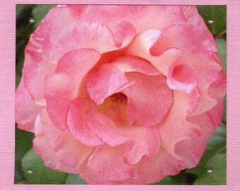 Pink Rose Note Card, Pink Rose Photo, Floral Note Card, Floral Notecard, Spring Flower Card, Inspirational Card, Pink Rose, Bridesmaid Gift