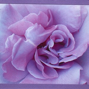 Lavendel Rose Foto Karte & Umschlag, Lila Rose Karte, Floral Notecard Set, Lila Blume Karte Notecards, Fotografie Geschenk