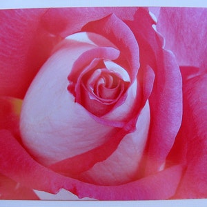 Rote Rose Foto Grußkarte, Valentinstag, rote Rosebud Karte, leere rote Rose Grußkarte, Rose Kartenset, süße Rose, Fotografie Geschenk