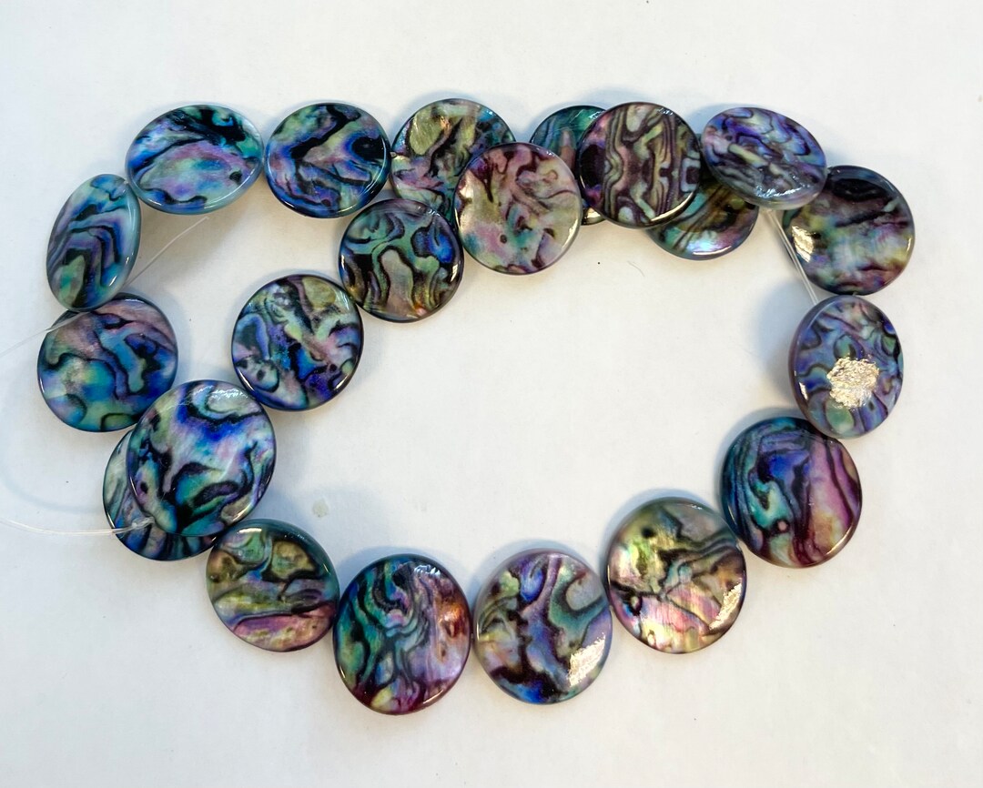 Coin Shells Designs Shell 20x3mm Flat Coin Shell Beads-~ -15.5 Inch Strand - Etsy
