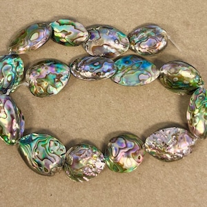 Abalone Shell (15-25)x(20-40)x(6-12)mm Flat Nugget Shell Beads--15.5 inch strand