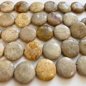 May include: A strand of round, flat fossilized coral beads in shades of beige, brown, and cream. The beads have a natural, organic texture.
