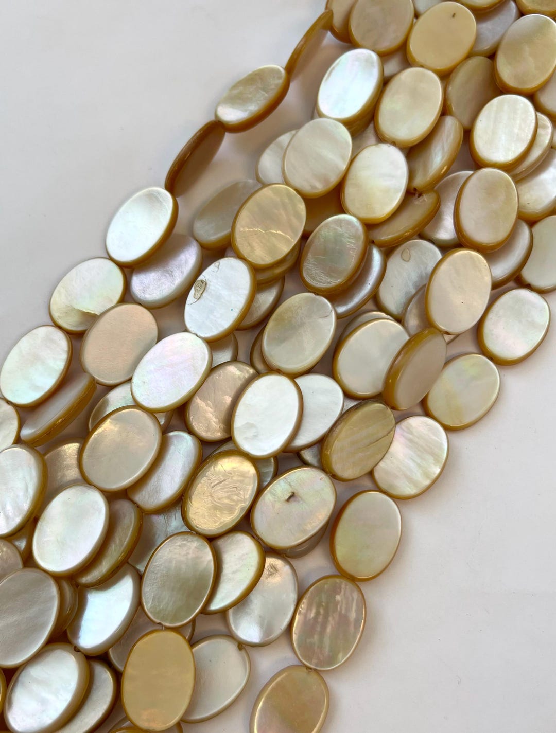 Shell With Ab AB Shell 18x13x3mm Oval Shell Bead- -15.5 Inch Strand- - Etsy