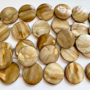 brown shell 25x4mm flat coin shell Bead -15.5 inch strand