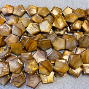 brown shell 20x5mm  flive star shell Bead -15.5 inch strand