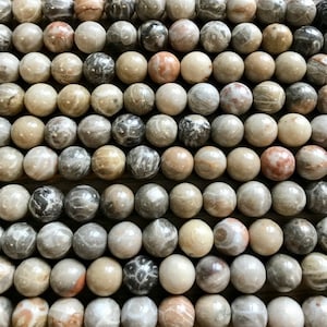 Natural Fossil coral 10mm Round Gemstone Beads --15.5 inch strand