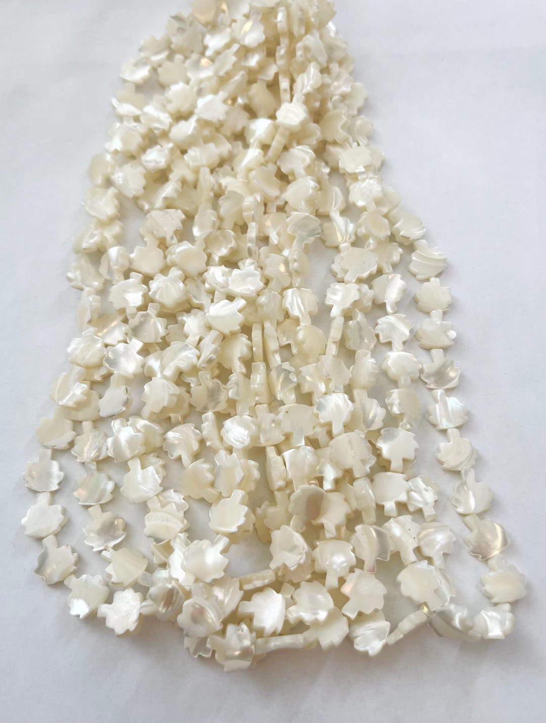Shell Pleads Shell 11x10x3mm Flat Shape Shell Beads - 15.5 Inches Strand - Etsy