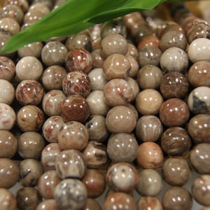 Fossil Coral 10mm Smooth Round Gemstone Beads -15.5 inch strand