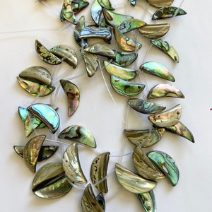 Abalone shell (8-25)X(26-42)mm Moon Shell Beads-15.5 inch strand