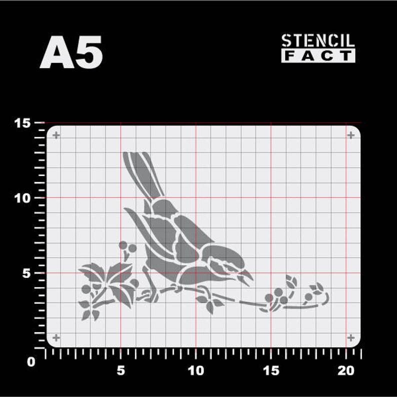 Bird Blackbird Black BE49