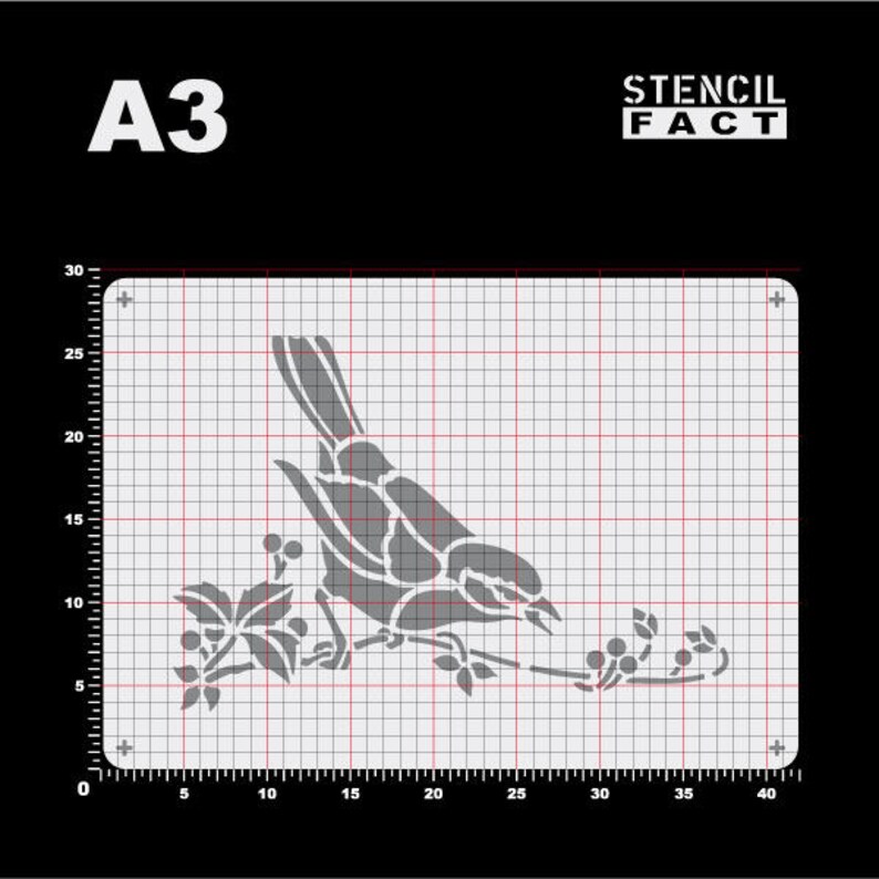 Bird Blackbird Black BE49