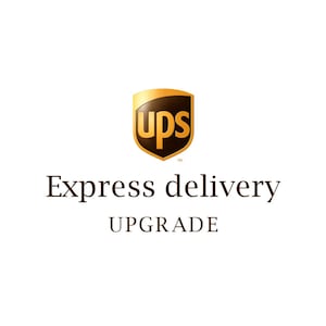 Fast Delivery Service