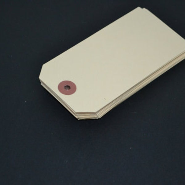 Manilla Tags Set of 25 with Reinforced Hole