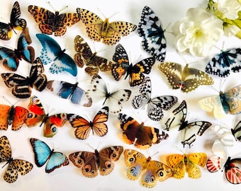 27 x 3D Decorative Butterflies, Butterfly Wall Art Decals, Wedding Stationary Embellishments, Craft Supplies, Realistic Specimen Die Cuts