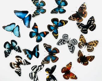 23 x 3D Decorative Butterflies Wall Art Decals: Wedding Embellishments Craft Supplies, Ethical Vegan Taxidermy Butterfly Specimen