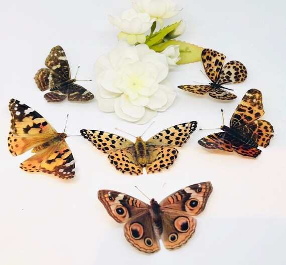 Download 3d Decorative Butterflies X 6 3d Butterfly Art Wedding Etsy