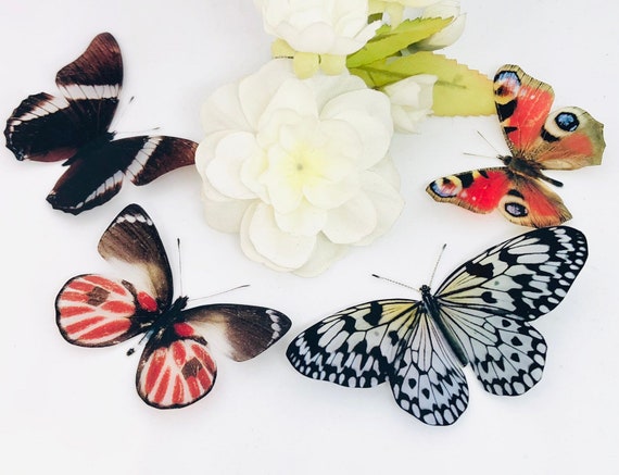 4 X Beautiful 3D Butterflies, Butterfly Wall Art Decal, Girls Bedroom,  Scrapbooking, Wedding Embellishment, Craft Supplies, Collage, Peacock 