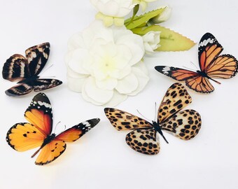 3D Decorative Butterflies x 4, Black, Browns & Orange