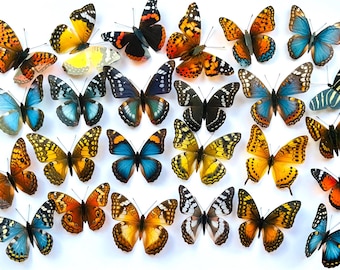 25 x 3D Realistic Decorative Butterflies, Butterfly Art, Wedding Table Embellishments, Craft Butterflies, Butterfly Wall Art Decals