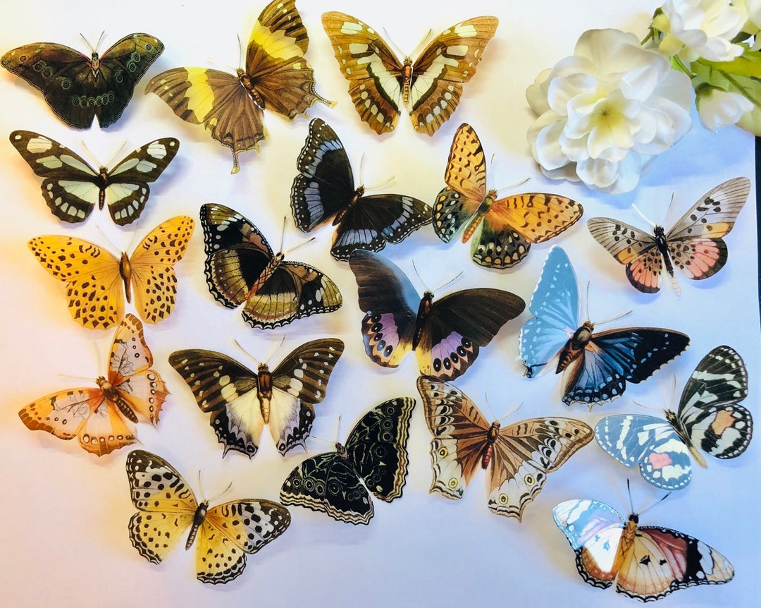 18 X 3D Butterfly Decorations, Shabby Chic Wedding Decor, Craft & Wall