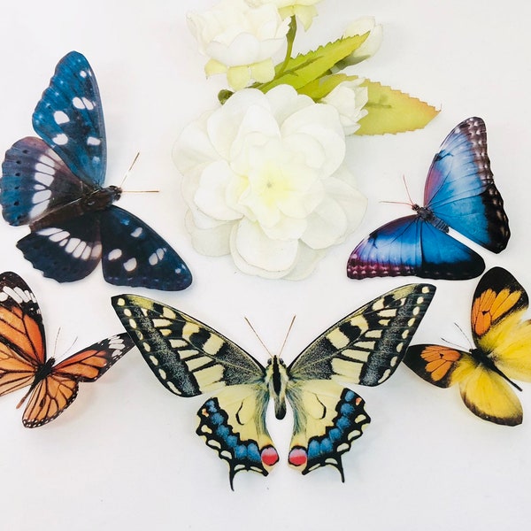 3D Decorative Butterflies x 5, 3D Butterfly Art, Wedding Embellishments, Craft Supplies, Craft Butterflies, Butterfly Wall Art Decals