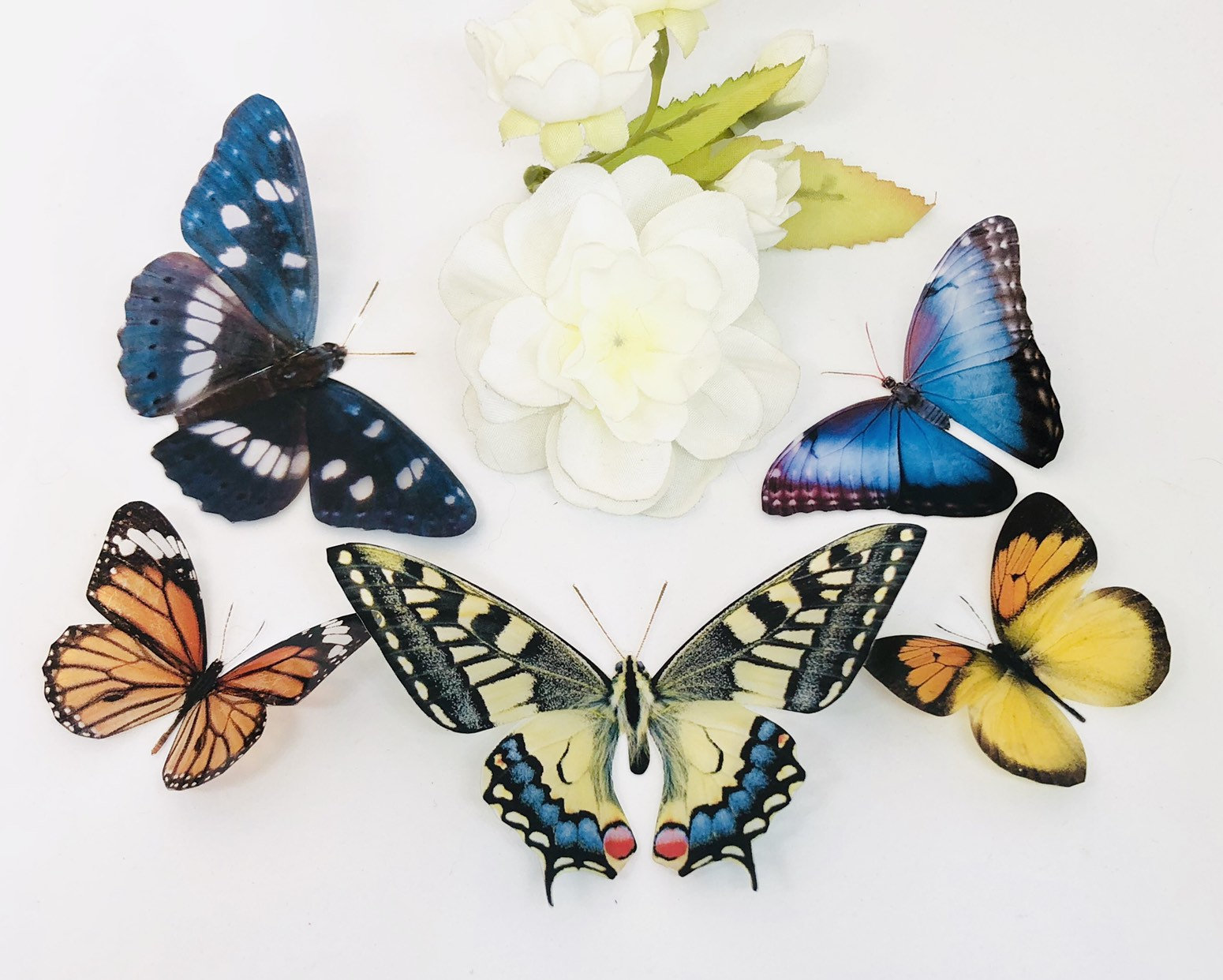 Realistic Paper Butterflies, Double-sided, Butterfly Craft Cutouts morphos  and Monarch Faux Butterfly 5 Piece Set 