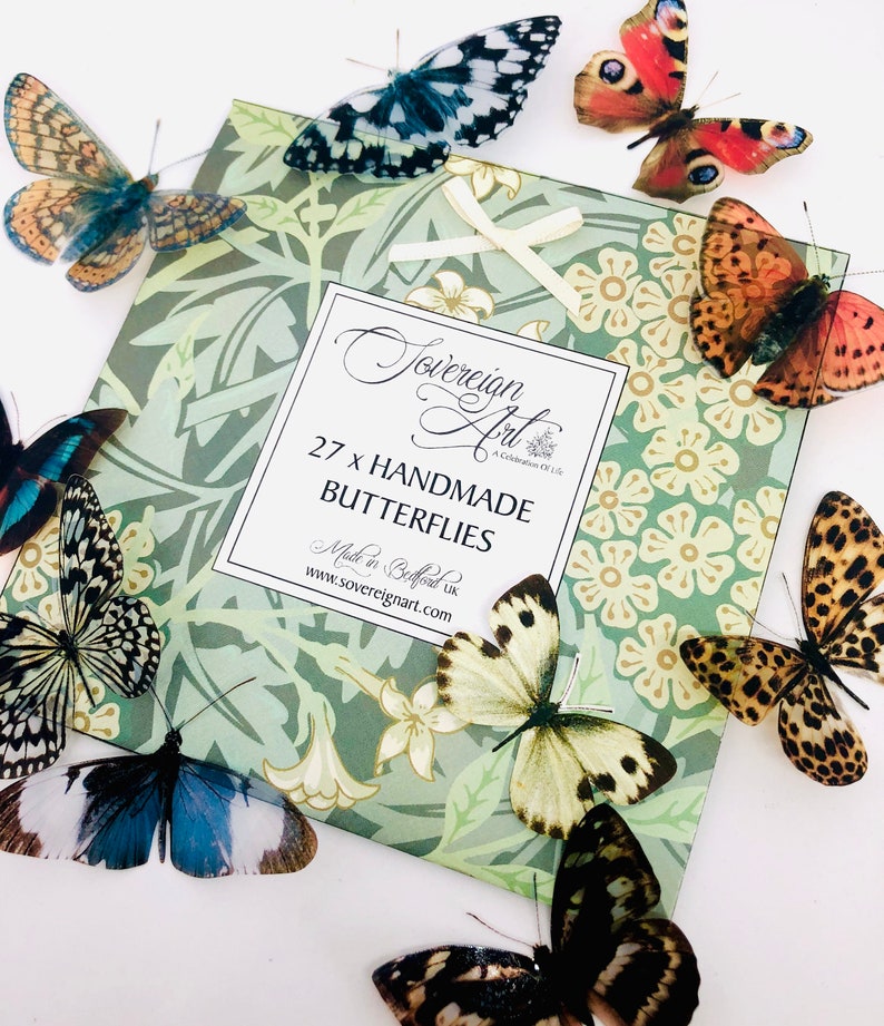 3D Decorative Butterflies x 27, 3D Butterfly Art, Wedding Embellishments, Craft Supplies, Craft Butterflies, Butterfly Wall Art Decals image 8