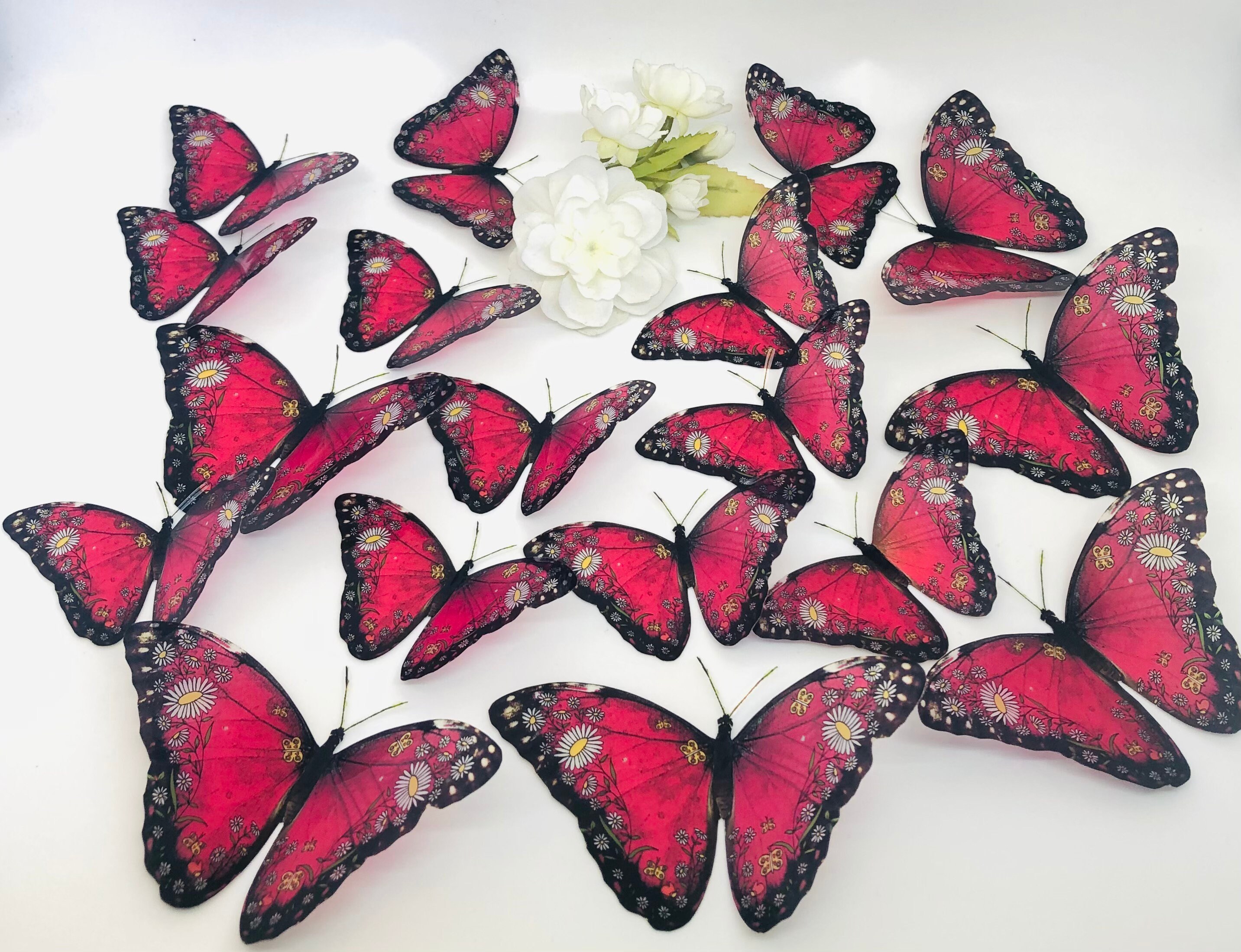 3D Decorative Butterflies X 5, 3D Butterfly Art, Wedding