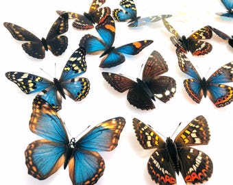 20 x 3D Decorative Blue Butterflies, Decals, Wedding & Table Craft Embellishments, Butterfly Wall Art, Die Cut Ethical Taxidermy