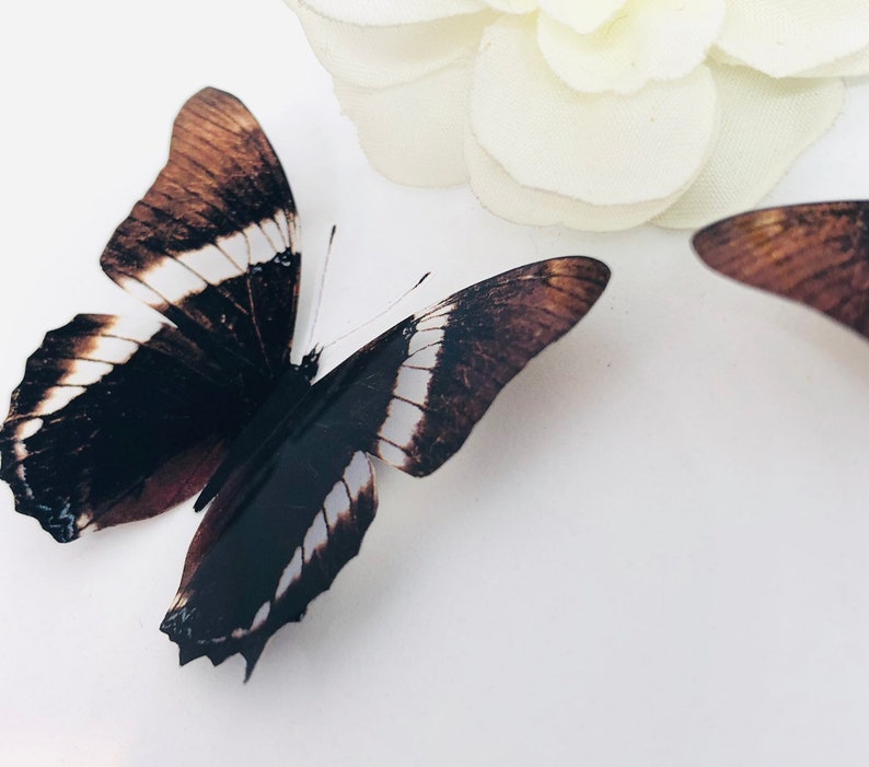 Download 10 X Butterfly Gift Small Gift Birthday Gifts 3d Butterfly Decals Home D U00e9cor Wedding Decorations