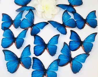 20 x Blue decorative butterflies, 3D butterflies, Ombre blue butterfly, Butterfly wall decor, Girls Bedroom, Gift For Her, Blue butterfly