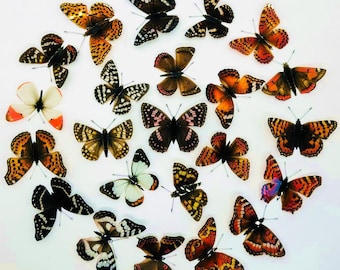 23 x 3D Butterflies For Swarm Butterfly Wall Art: Wedding Embellishments That Are Ethical Vegan Taxidermy Butterfly Specimens Craft Supplies
