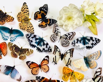 22 x 3D Butterfly Wall Art Decals: Shabby Chic Wedding Table Decor, Cake Decorations, Wedding Stationary Embellishment Decorations