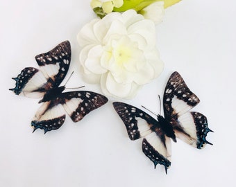 10 x Beautiful 3D Butterflies, Wedding Decorations. Craft Embellishments, Home Decor, Scrapbooking, Creative Supplies, Craft Supplies