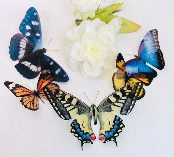 3D Decorative Butterflies X 5, 3D Butterfly Art, Wedding Embellishments,  Craft Supplies, Craft Butterflies, Butterfly Wall Art Decals 