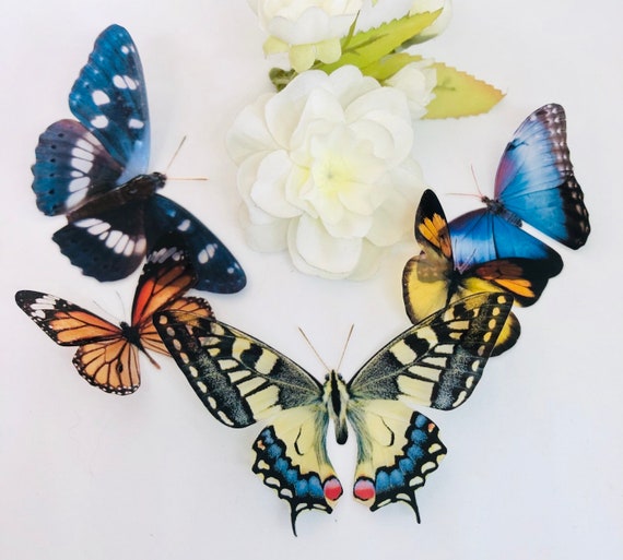 3D Decorative Butterflies X 5, 3D Butterfly Art, Wedding