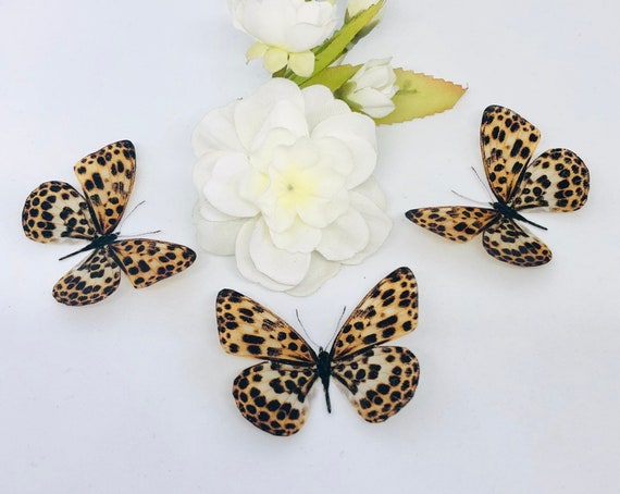 Download 3d Decorative Butterflies X 3 3d Butterfly Art Wedding Etsy