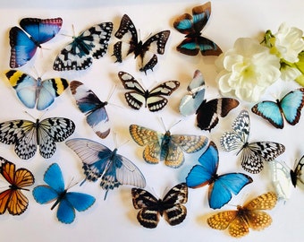 19 x 3D Decorative Natural Realistic Faux Butterflies, 3D Butterfly Art, Wedding Embellishments, Craft Supplies, Butterfly Wall Art