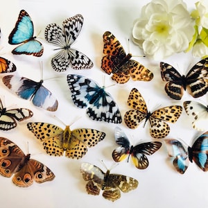 3D Decorative Realistic Butterflies x 15, 3D Butterfly Art, Wedding Embellishments, Craft Supplies, Blue Butterfly, Wall Art Decals
