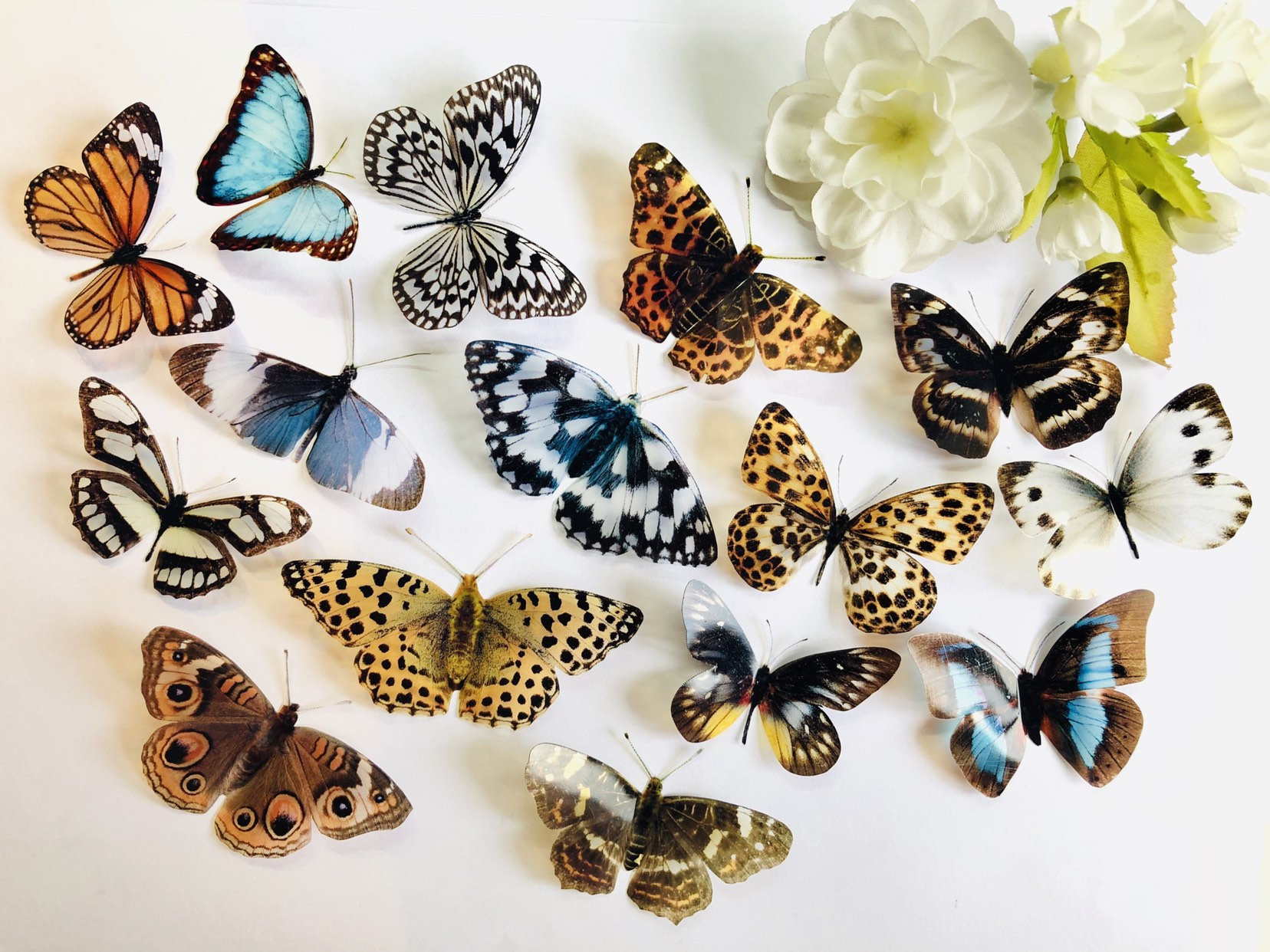 Download 3d Decorative Butterflies X 15 3d Butterfly Art Wedding Etsy