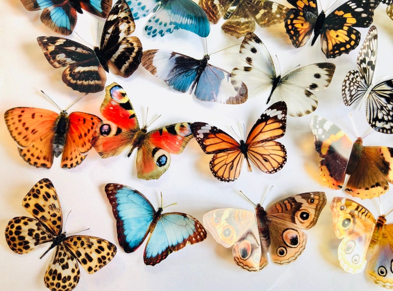 3D Decorative Butterflies x 27, 3D Butterfly Art, Wedding Embellishments, Craft Supplies, Craft Butterflies, Butterfly Wall Art Decals image 9