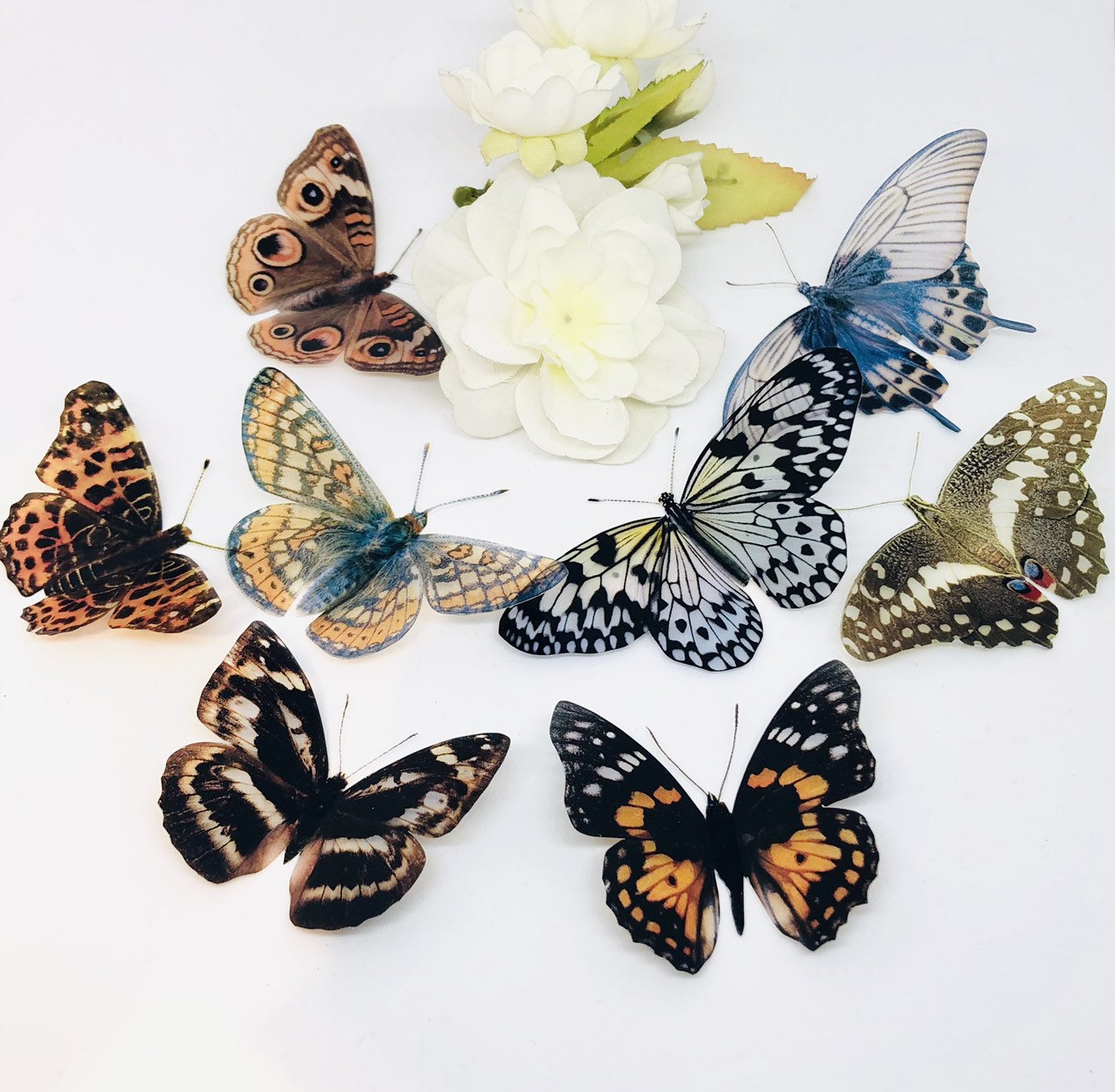 Download 3d Decorative Butterflies X 8 3d Butterfly Art Wedding Etsy