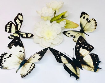 3D Decorative Butterflies X 5, 3D Butterfly Art, Wedding