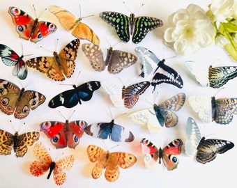 20 x Realistic 3D Butterfly Wall Art Set | Modern Cottagecore Home Decor | Tactile 3D Decorative Butterflies for Nursery or Bedroom