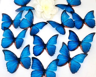 20 x 3D Blue Decorative Butterflies, Morpho Ombre Blue Butterfly, Wall Decor, Girls Bedroom, Gift For Her, Blue butterfly Ethical Taxidermy