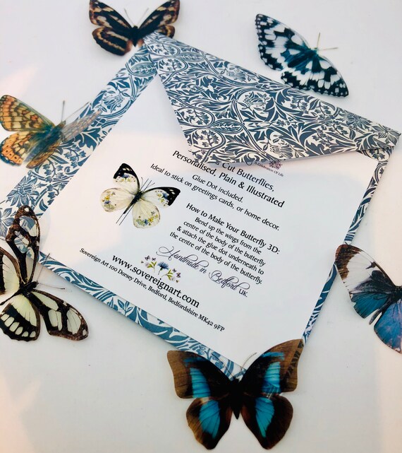 3d Decorative Butterflies X 19 3d Butterfly Art Wedding Etsy