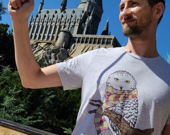 May include: A person wearing a grey t-shirt with a white owl wearing a pink and yellow scarf printed on it. The person is holding a black wand in their right hand and is standing in front of a large grey castle.