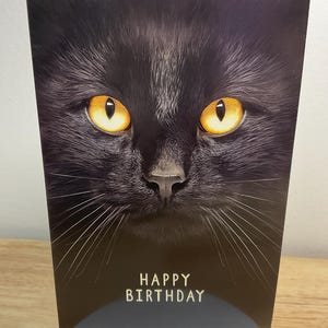Carte de joyeux anniversaire chat, chat noir, yeux jaunes, poilu, mignon, miaou, moustaches, animal de compagnie