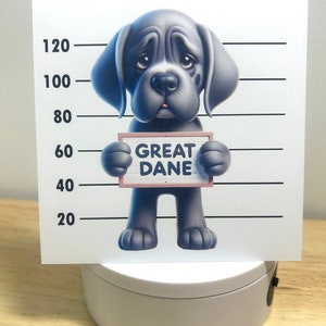 Carte Choisissez une race de mauvais chien, Imprimée, Mug shot, Oiseau de prison, Mignonne, Doux, Amoureux, Chiot, Animal de compagnie